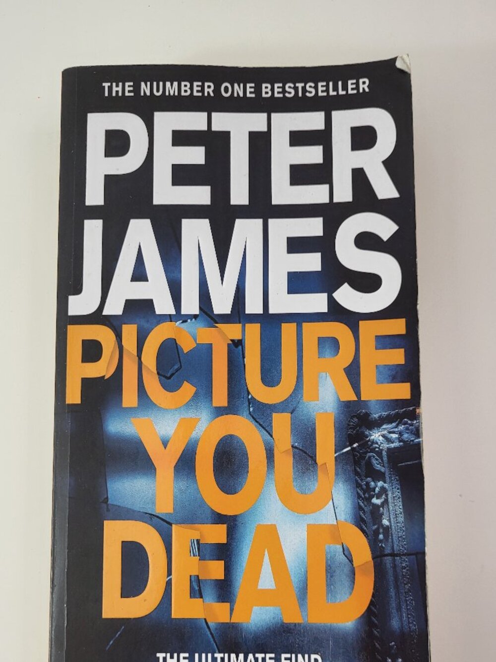 Picture You Dead: A Roy Grace Novel by Peter James